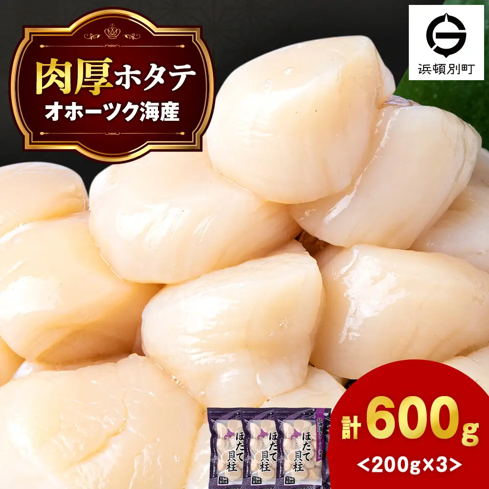 【1月下旬発送】 ほたて 貝柱 冷凍(15粒前後)200ｇ×3パック 小分け お取り寄せ 刺身 《横田水産》 北海道ホタテ ホタテ玉冷 刺身用 帆立 冷凍 刺身 オホーツク 海鮮 食品 北海道ふるさと納税