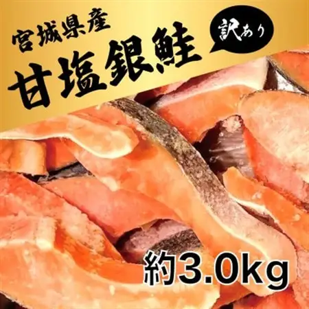 訳あり 宮城県産　銀鮭　切身　甘塩　約3kg　国産/三陸　女川町【配送不可地域：離島】【1641035】