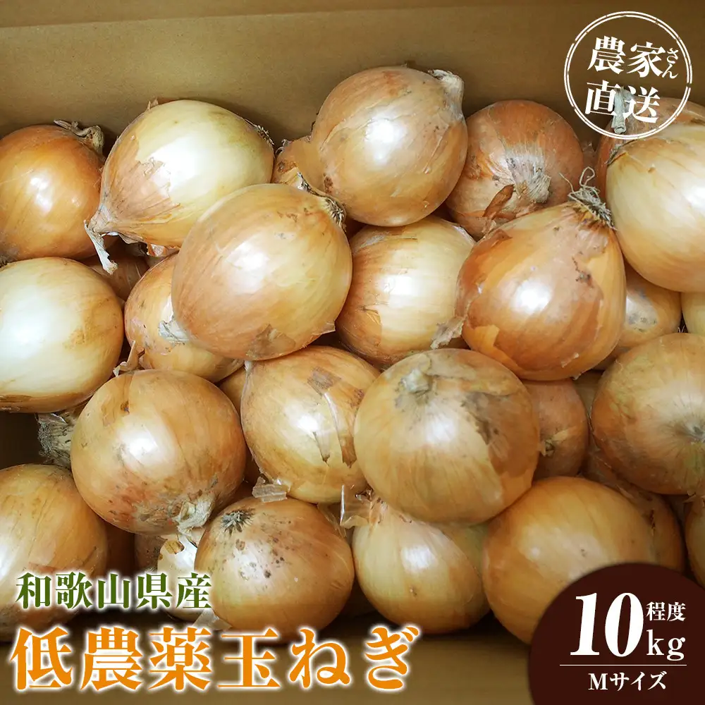 ［2026年発送分・先行予約］農家さん直送 低農薬玉ねぎ Mサイズ 10kg程度［4月中旬～7月中旬頃発送予定］［KF17］