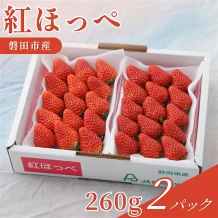 【2027年先行受付】静岡県磐田市 いちご 紅ほっぺ 約260g×2パック【配送不可地域：離島・北海道・沖縄県】【1640742】