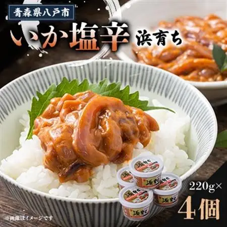 いか塩辛　浜育ち(220g×4)【配送不可地域：離島】【1668490】