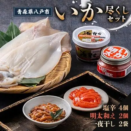 【塩辛 220g×4個・明太子和え 150g×2個・一夜干し 2袋】いか尽くし 3種セット【配送不可地域：離島】【1668492】