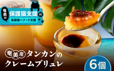 【 奄美 の 保護猫 支援（ 保護猫フード 10日分 ）】＋ 奄美産 タンカン の クレーム ブリュレ （ 6個 入り ） A071-002-02 菓子 スイーツ クリームブリュレ デザート 保護猫支援 保護猫プロェクト cafeCOVOTANA ふるさと納税 鹿児島 奄美市 おすすめ ランキング プレゼント ギフト