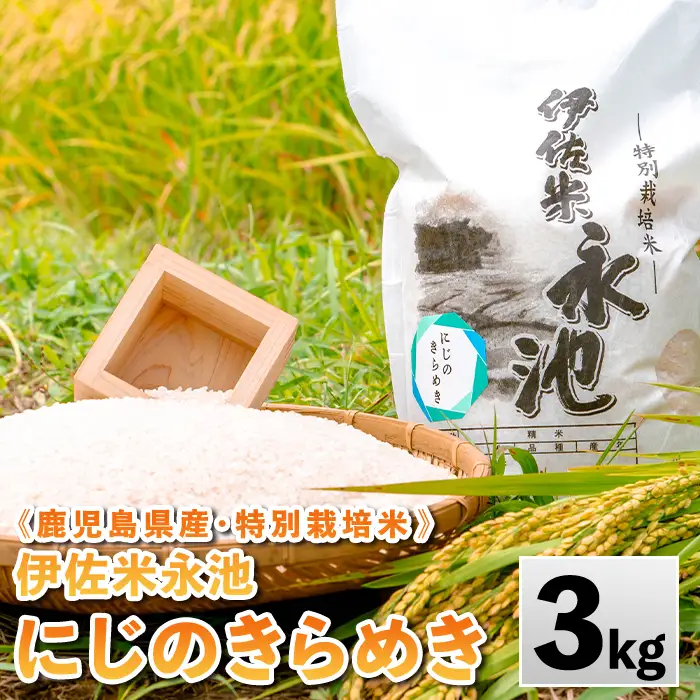 isa744 《数量限定》令和7年産 特別栽培米 伊佐米永池 にじのきらめき(3kg) 伊佐市 永池 特産品 お米 米 白米 精米 伊佐米 にじのきらめき 3kg 【エコファーム永池】