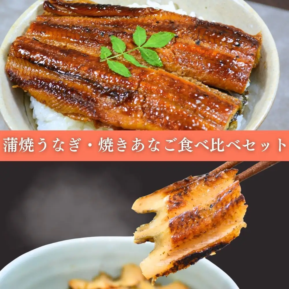 焼きあなご1串・蒲焼きうなぎ2尾食べ比べセット