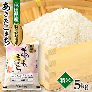 令和7年産　特別栽培米あきたこまち5kg(白米)【配送不可地域：離島・沖縄県】【1670573】