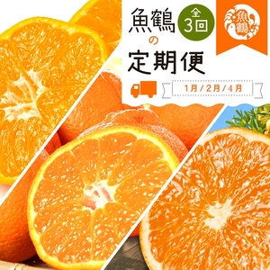 〈定期便〉【1・2・4月 全3回】紀州和歌山産旬の柑橘セット(みかん・不知火・清見) | フルーツ セット