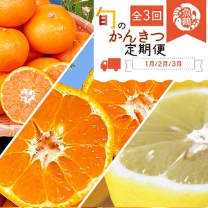 〈定期便〉【1・2・3月 全3回】紀州和歌山産旬のフルーツセット(みかん・不知火・レモン) | フルーツ セット