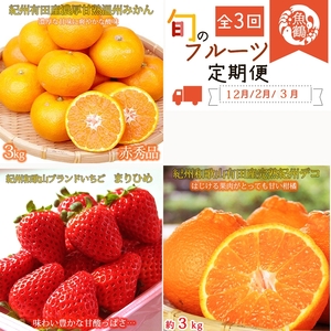 〈定期便〉【2・3・12月 全3回】紀州和歌山産旬のフルーツセット(まりひめ・紀州デコ・有田みかん) ｜ フルーツ