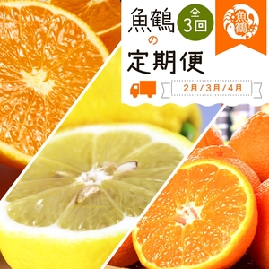 〈定期便〉【2・3・4月 全3回】紀州和歌山産旬の柑橘セット(不知火・レモン・清見) | フルーツ セット