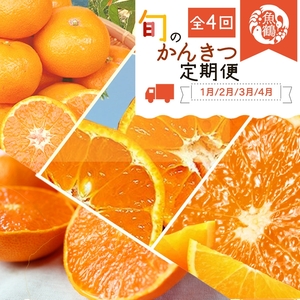 〈定期便〉【1・2・3・4月 全4回】紀州和歌山産旬の柑橘セット(みかん・不知火・せとか・清見) | フルーツ セット