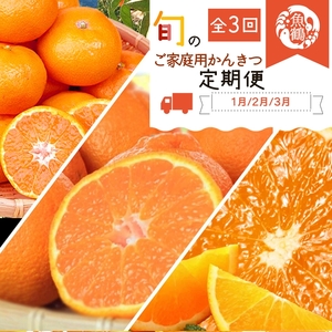 〈定期便〉【1・2・3月 全3回】紀州和歌山産旬のご家庭用柑橘セット(みかん・不知火・清見)