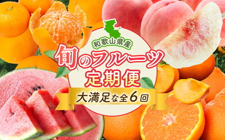 〈定期便〉【2・4・6・8・10・12月 全6回】紀州和歌山産旬のフルーツセット(不知火・清見・スイカ・桃・柿・みかん) ｜ フルーツ