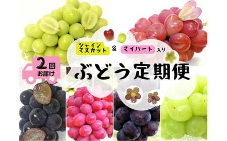 【2回定期便】 シャインマスカット 岡山県産ブドウ シャインマスカット＆マイハート入り定期便2.4kg(４～６房)  【hfbd-tkb005-02】