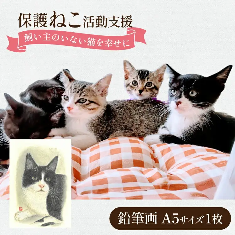 保護猫 支援 猫保護活動への支援 鉛筆画 A5 [地域ねこサポート会ちくしの 福岡県 筑紫野市 21761294] 