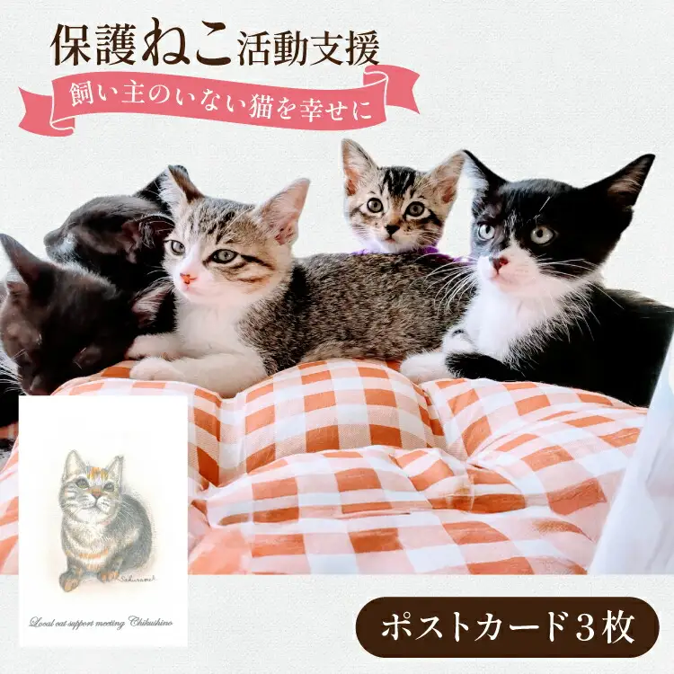 保護猫 支援 猫保護活動への支援 ポストカード [地域ねこサポート会ちくしの 福岡県 筑紫野市 21761293] 