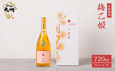 うまかぞー九州 本格梅酒 梅乙姫 720ml 梅酒 KN163-002 酒