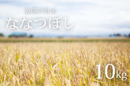 【先行予約】≪令和8年産≫ ななつぼし 10kg 北海道産 ななつぼし [030-106]