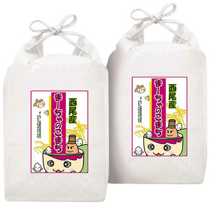 【令和7年産】西尾のお米＜あきたこまち＞10kg（5kg×2袋）・K346-29