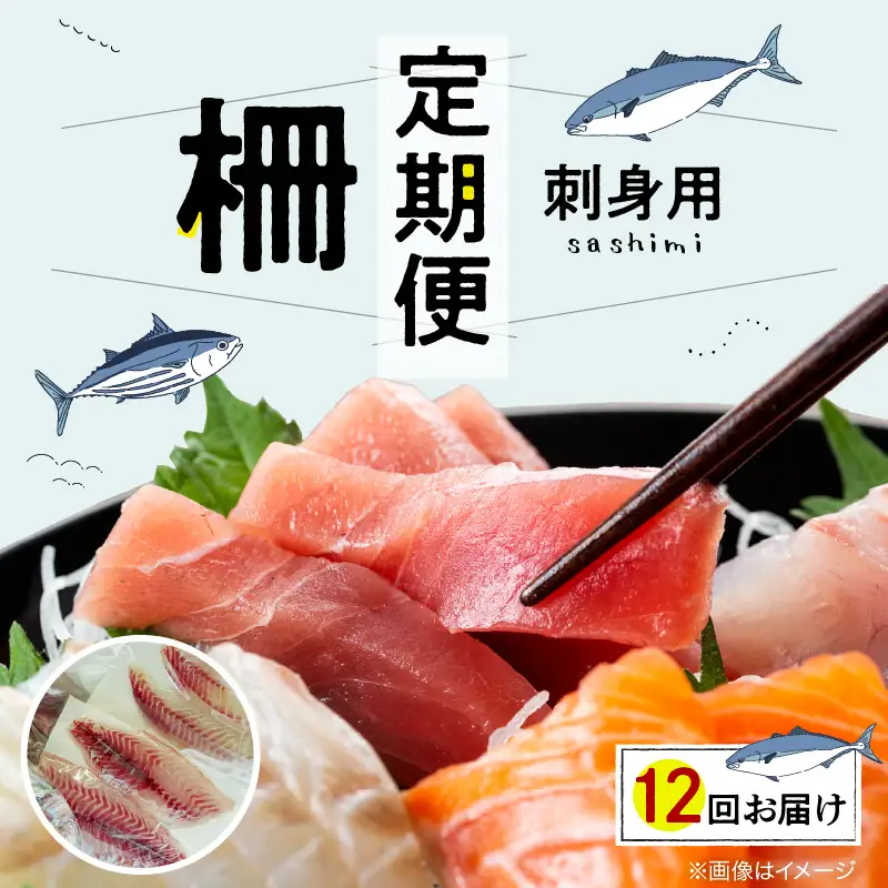 S121-T05_【全12回　連続 指定日必須】 お刺身用柵定期便