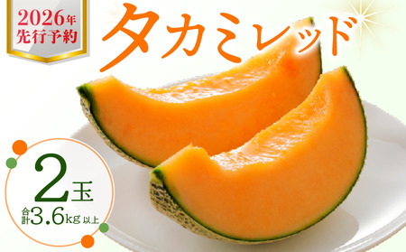 タカミレッドメロン 2玉 メロン