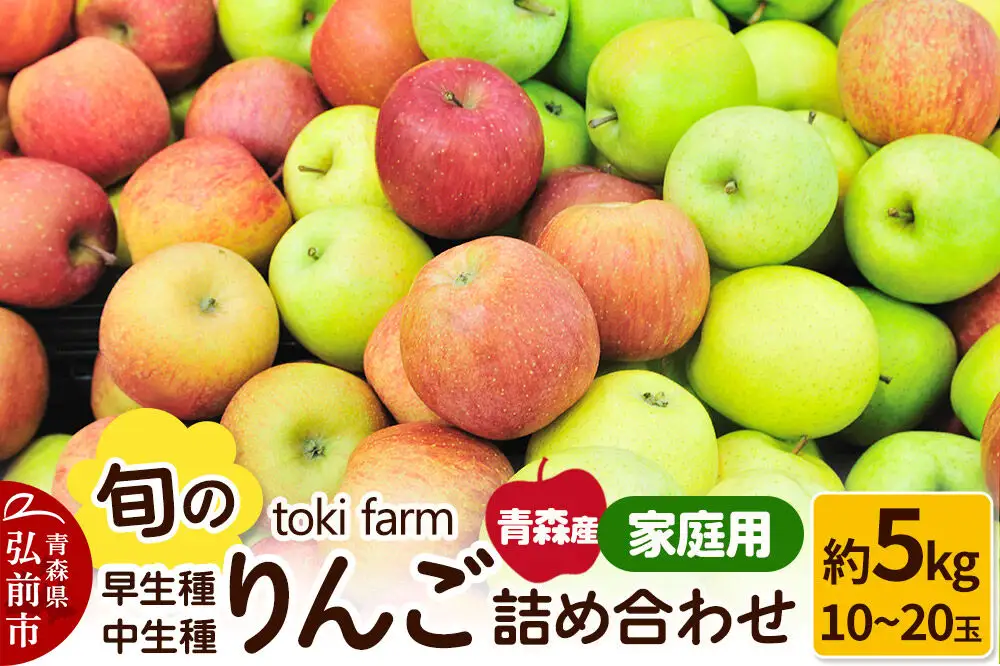 【26年10月クール便発送】りんご 旬のりんご 早生種・中生種詰め合わせ 約5kg（12～20玉程度）家庭用 toki farm 林檎 アップル 果実 果物 詰め合わせ 詰合 美味
