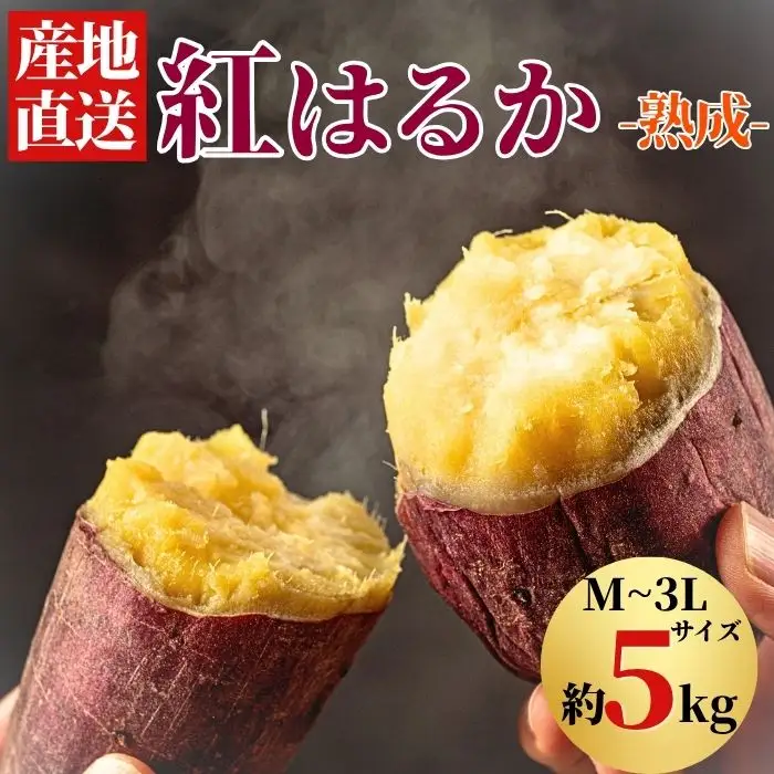 【 先行予約 10月 発送】 さつまいも 紅はるか 5kg 【駿河農園ベジスル】 サツマイモ さつま芋 薩摩芋 5キロ ５キロ ５ｋｇ 5000g M L LL 3L やさい 野菜 冬野菜 秋野菜 風物詩 定番 旬 焼き芋 やきいも 焼芋 いも 芋 イモ おいも おやつ 人気 美味しい 甘い 国産 岩手県産 産地直送 予約 おすすめ オススメ