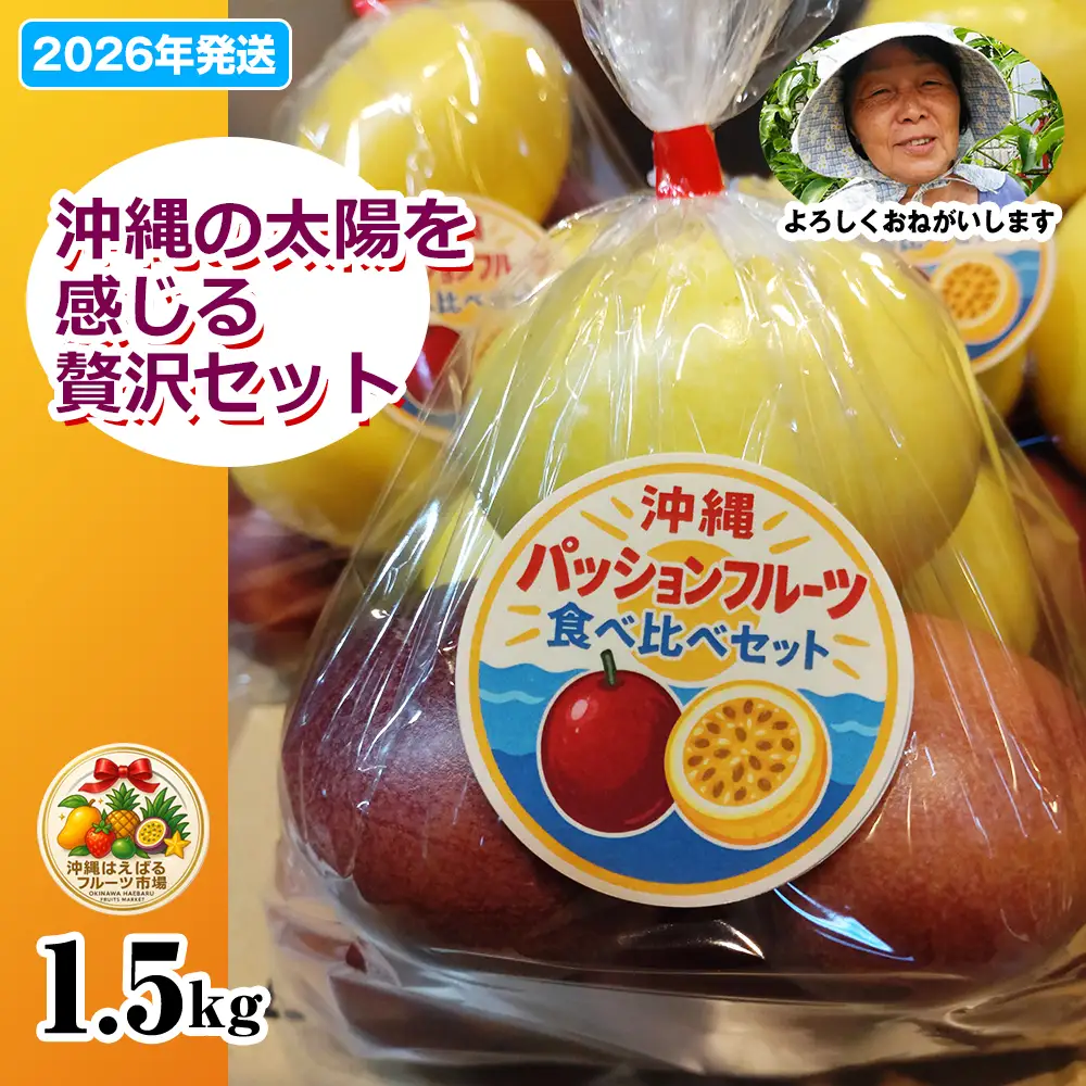 【2026年発送】沖縄からの贈り物　トロピカルジュエリーパッション1.5kg