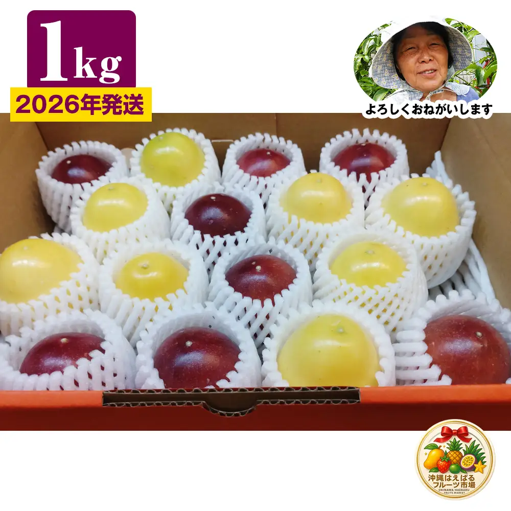 【2026年発送】沖縄からの贈り物　美らパッションの宝石箱1kg