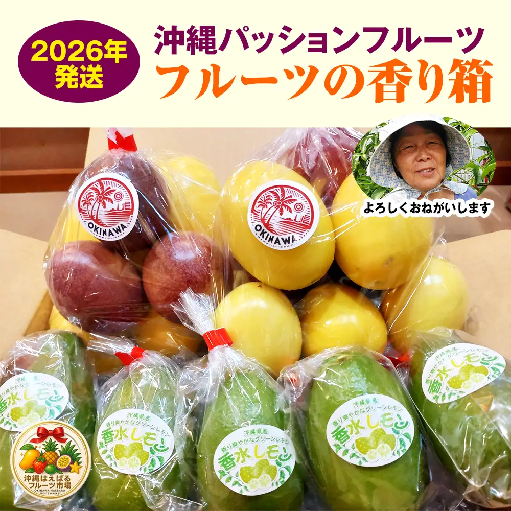 【2026年発送】沖縄パッションフルーツ　フルーツの香り箱