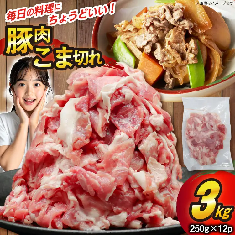 豚肉 こま切れ 250g 12p 計3kg [司フーズ・システム 兵庫県 三田市 3d28bdy500010] 