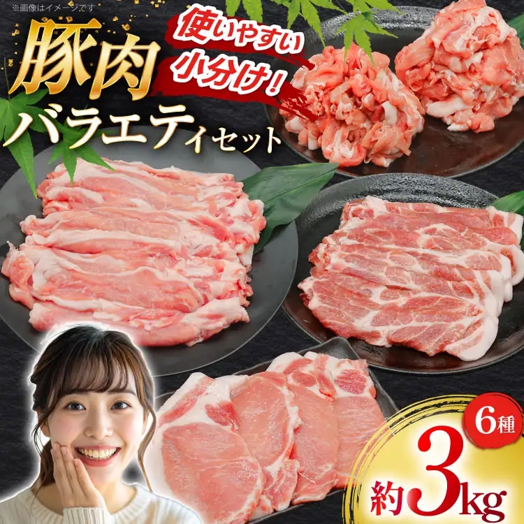 豚肉 バラエティ セット 計3kg ロース とんかつ用 豚こま 肩ロース スライス 切り落とし しゃぶしゃぶ [司フーズ・システム 兵庫県 三田市 3d28bdy500013] 