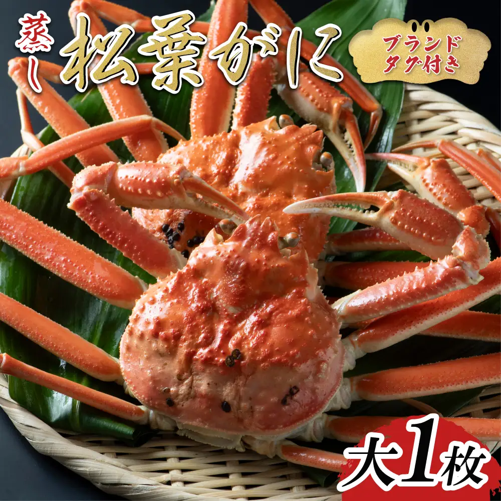【蒸し】ブランドタグ付き松葉ガニ 大 1枚 2026年11月～順次発送｜鳥取 岩美 松葉がに かに【22055】