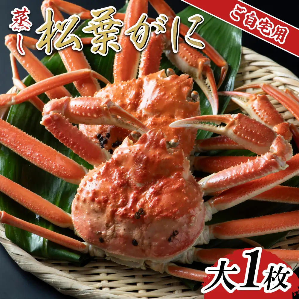 【蒸し】ご自宅用松葉ガニ 大 1枚 2026年11月～順次発送予定｜鳥取 日本海 松葉がに 松葉蟹 かに ズワイガニ【22061】