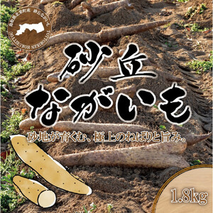 1113.砂丘ながいも1.8kg