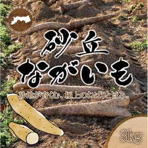 1114.砂丘ながいも3kg