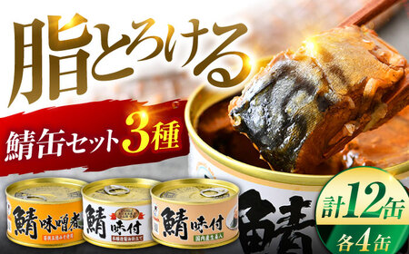 鯖缶詰 12缶 詰め合わせD 180g×12缶 本醸造醤油仕立て 生姜 味噌煮 / サバ缶 鯖缶 さば缶 鯖 サバ さば 小浜市 / 福井缶詰[BFAB059]