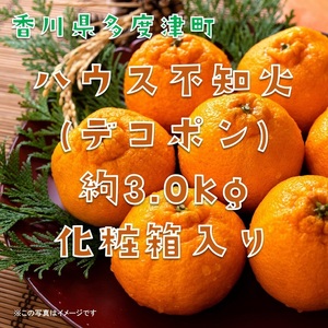 不知火（デコポン）ハウス栽培 約3kg【予約受付中！令和8年12月下旬頃～】【B-32】