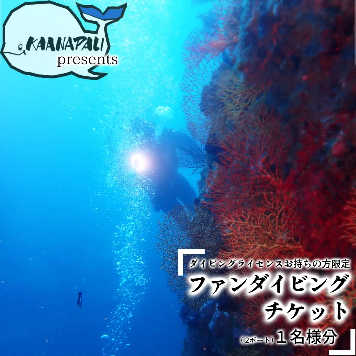 徳島最南端の海でファンダイビング！