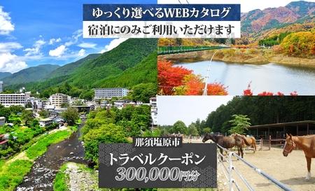 那須塩原市 後から選べる旅行Webカタログで使える！ 旅行クーポン（300,000円分）旅行券 宿泊券 ns124-004