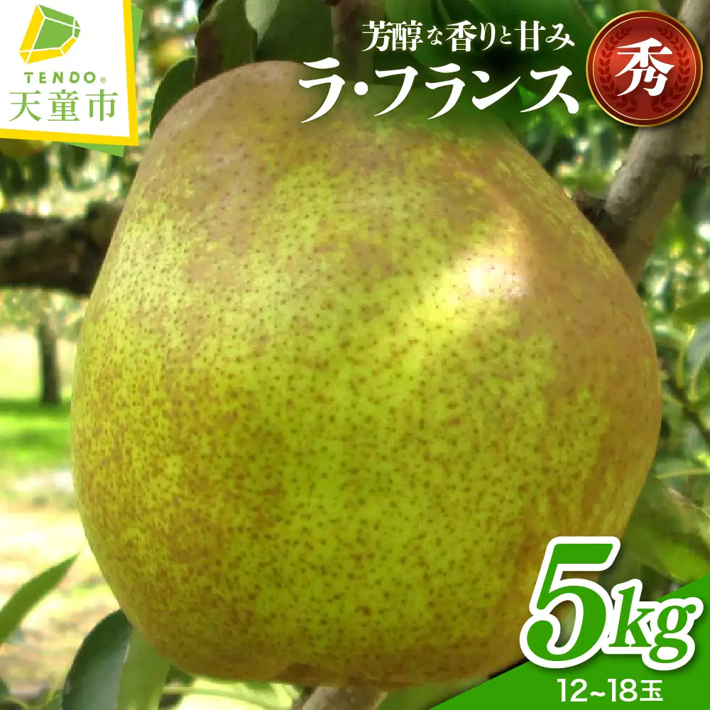 ラ・フランス 5kg フルーツ 果物 洋梨 山形 08-40-001