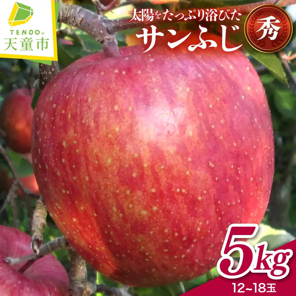 りんご （ サンふじ ）  5kg 山形 果物 フルーツ 08-40-002