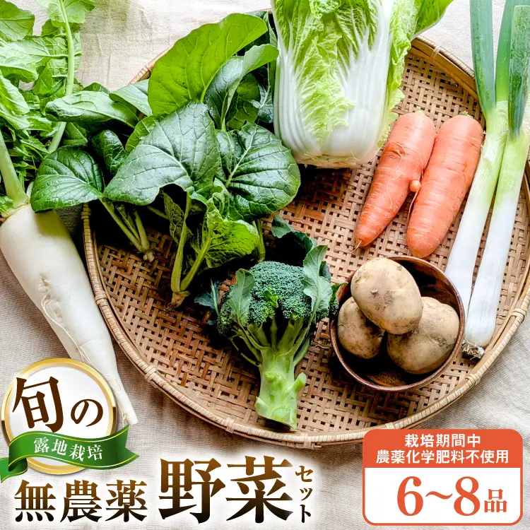 旬 ココニコ おまかせ 野菜セット 6～8品 [ココニコヒロバ 愛知県 江南市 ko23btu710000]
