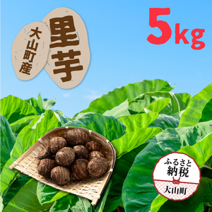 TY-02　大山町産里芋