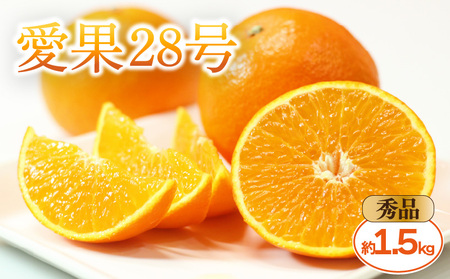 【2026年11月中旬頃から発送予定】愛果28号 (紅まどんな と同品種)  秀品 約1.5kg (贈答用化粧箱入り)  | 紅まどんな と同品種 あいか28号 みかん 蜜柑 mikan 檸檬 オレンジ 紅マドンナ と同品種 おれんじ かんきつ 愛媛県 松山市 ココオ Koko'o 【KK332】