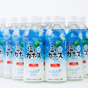 塩とカボス (495ml×24本) かぼす ドリンク ジュース カボス 塩 飲料 ペットボトル 防災 常温 【opbz016】【さいき本舗 城下堂】