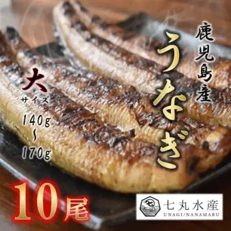 【国産うなぎ】大サイズ140g -170g　鹿児島産　10尾 炭火蒲焼き(タレ付き)【配送不可地域：離島】【1659344】