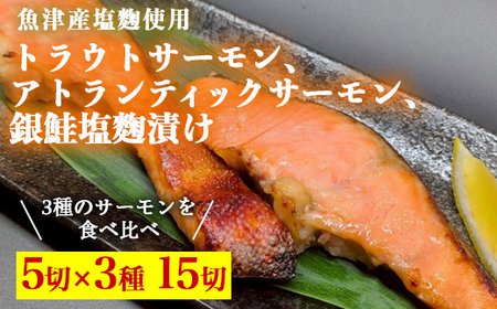 トラウトサーモン、アトランティックサーモン、銀鮭、塩麹漬け各5切ずつセット ※北海道・沖縄・離島への配送不可