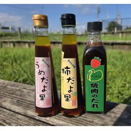 手作りドレッシングと焼肉のたれ 計700ml【1665858】