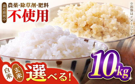 お米 令和7年産 米 10kg 黒川つばくろ農園[AWCB002]